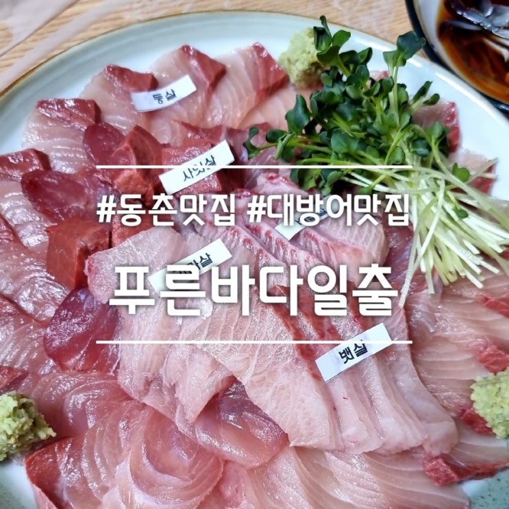  대구 동촌 맛집] 푸른바다일출 || 겨울 제철 회 대구 대방어 맛집 (가격, 부위, 칼로리)