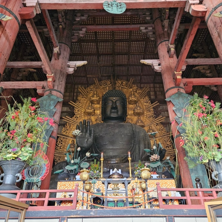오사카 나라 도다이지절 동대사 입장시간 입장료 나카타니도 쑥모찌 오사카 나라 도다이지절 동대사 입장시간 입장료 나카타니도 쑥모찌