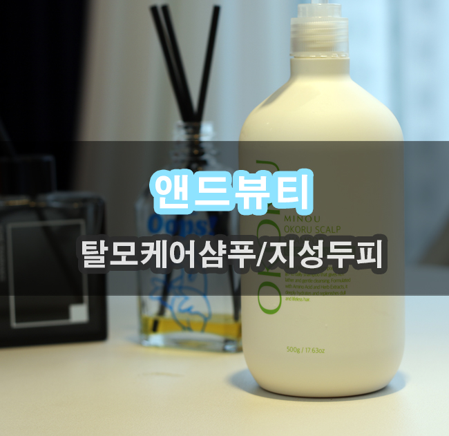  앤드뷰티 오코루 퍼퓸 스칼프 샴푸 두피케어 합시다