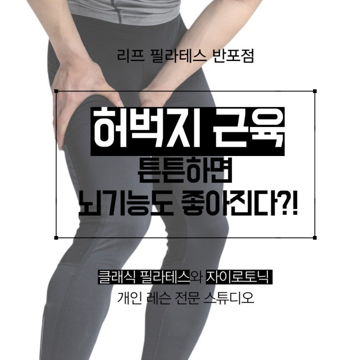  [서래마을 필라테스] 허벅지 근력의 중요성/ 리프 필라테스 반포