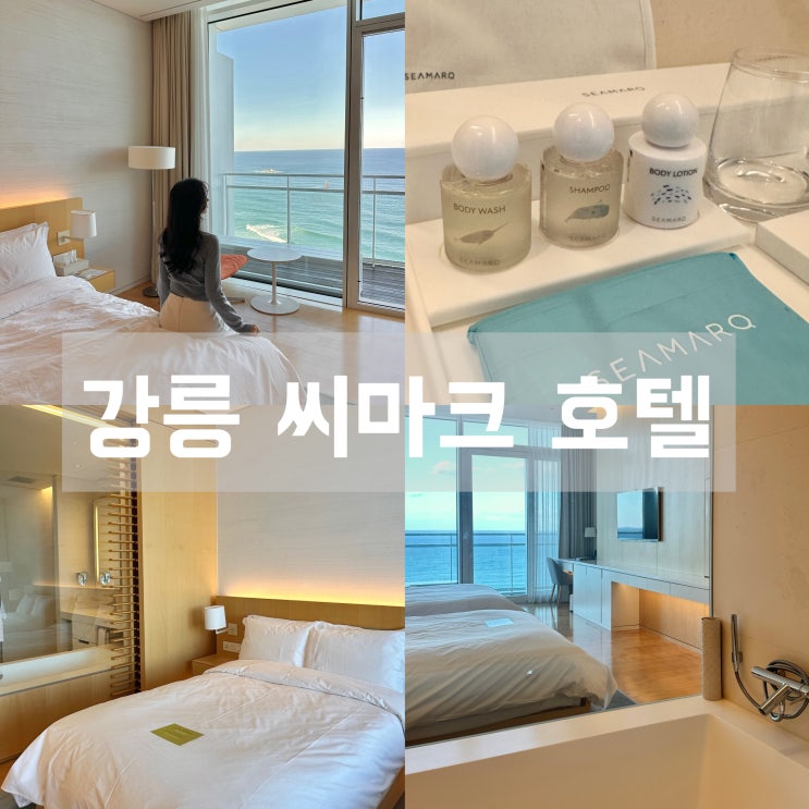  강릉 씨마크 호텔 프리미엄 디럭스 예약 1306호 방배정 꿀팁