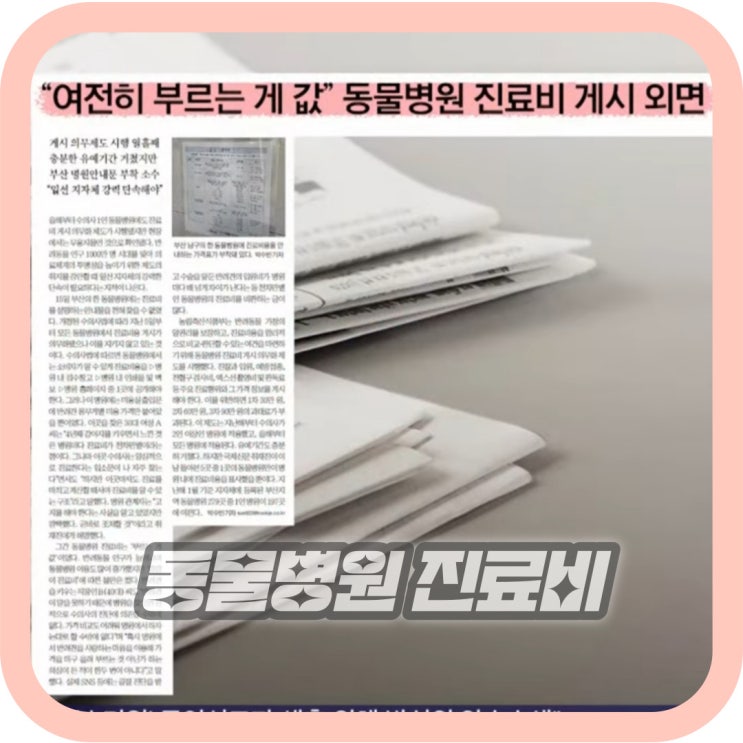  동물병원 진료비 게시 의무화 소용없다? 동물병원 비용 알아보는법