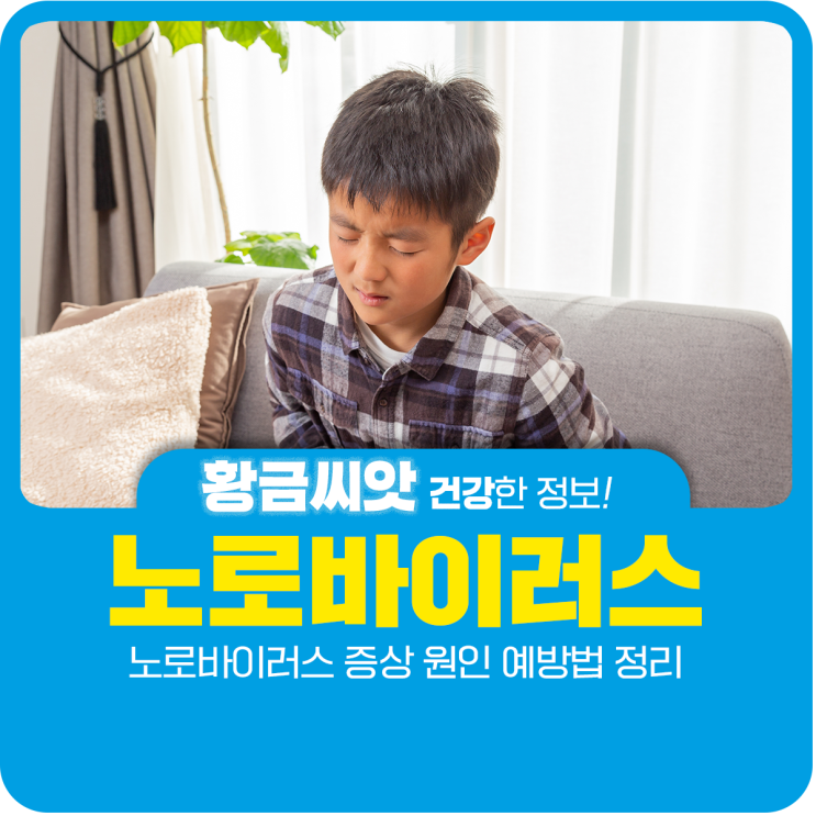  노로바이러스 증상 원인 예방법 정리