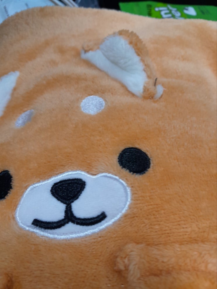 축협 <b>조합장</b> 구속영장 신청 "직원 신발로 수차례 폭행하고 <b>사표</b>... 