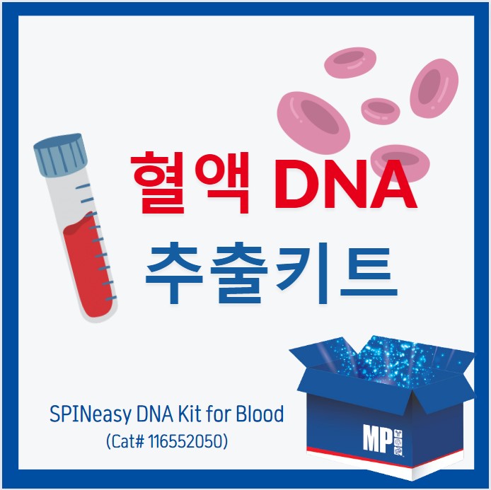 [제품정보] SPINeasy DNA Kit for Blood - 혈액에서 DNA 추출