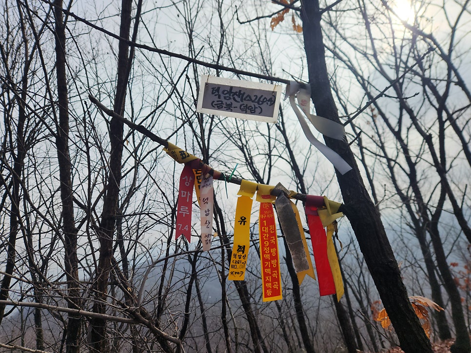 도망산 사진 4