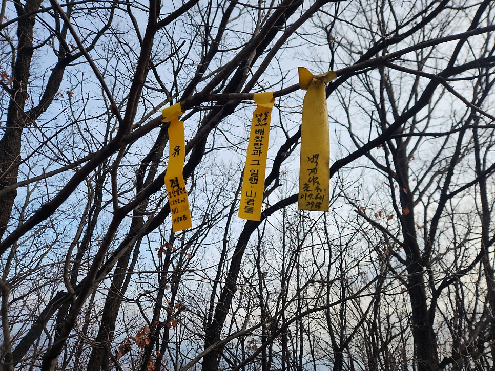 도망산 사진 5
