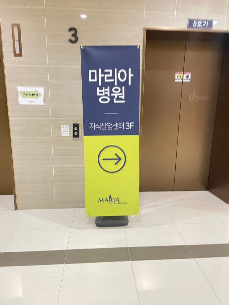  수지마리아 미혼 난자냉동/난자동결 #4 (난자채취 그후)