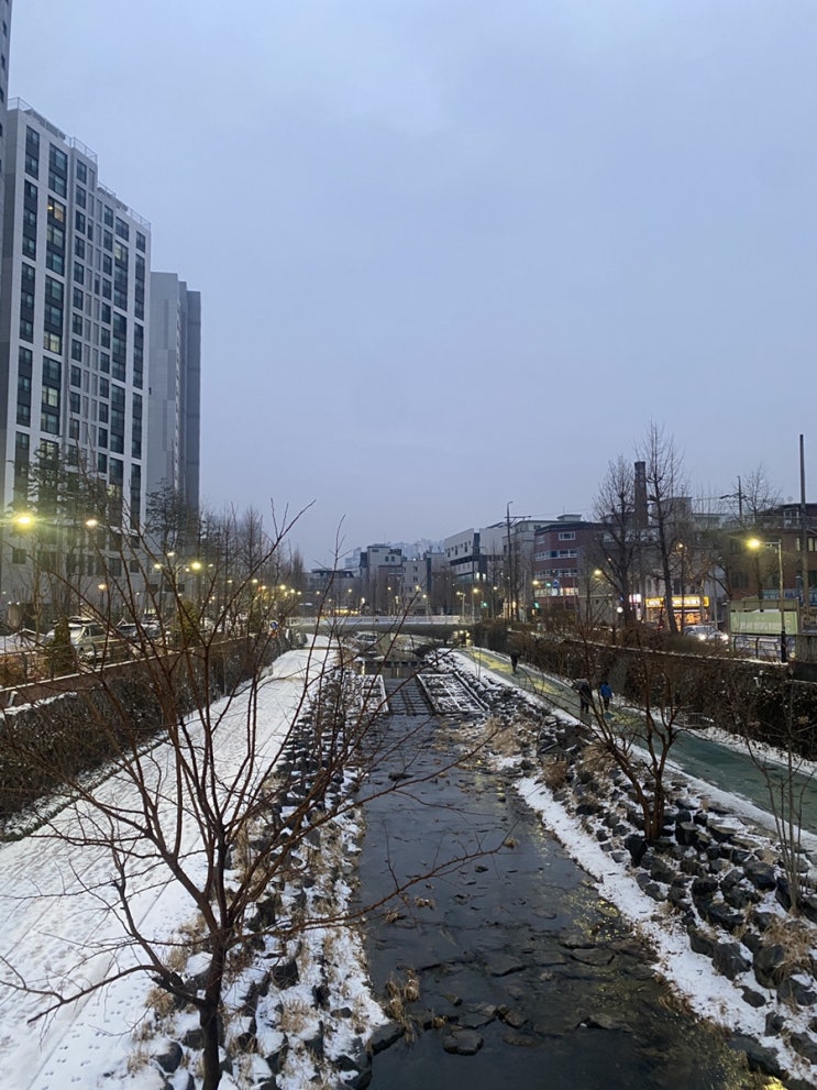  요즘 일상.. 퇴근 후 루틴 아닌 루틴