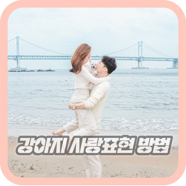  강아지가 사랑받고 있다고 느끼게 하는 방법