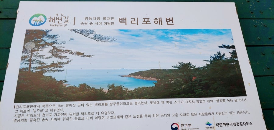 백리포야영장 사진 2