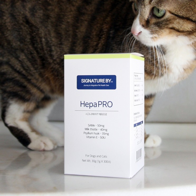 고양이 간영양제. 시그니처바이 고양이간수치 관리용 고양이영양제, 헤파프로 HepaPRO