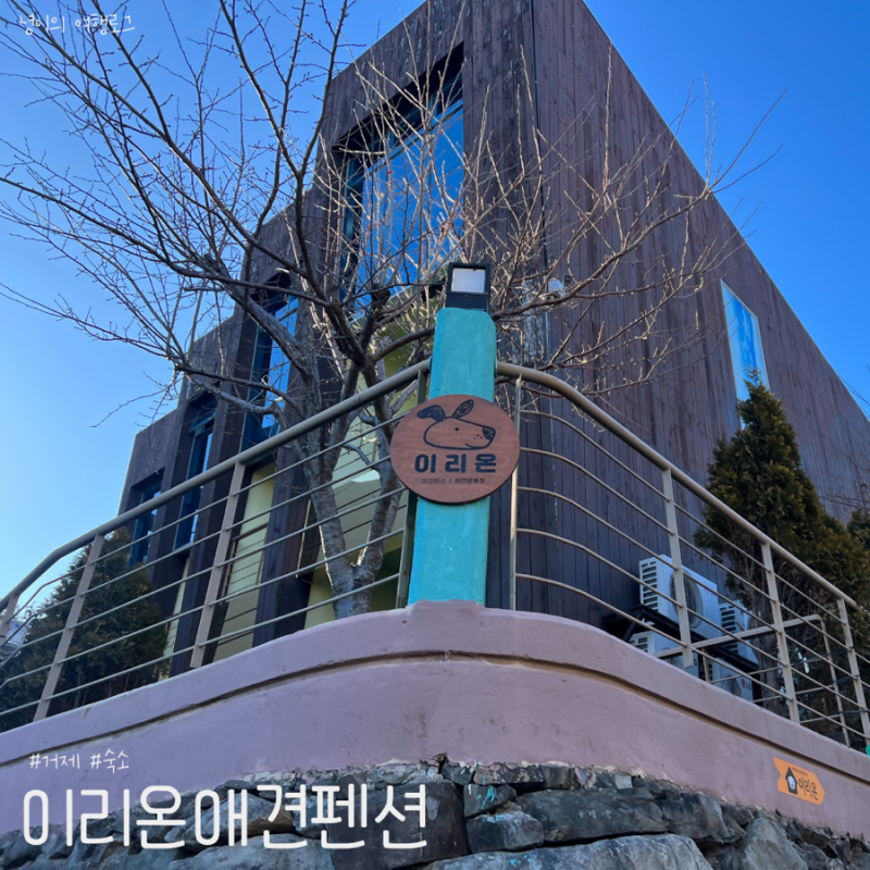사진 2