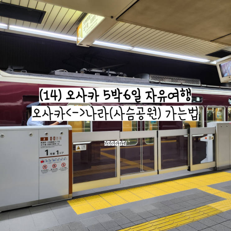 오사카 난바역에서 나라 (사슴공원) 가는 법, 닛폰바시역에서 나라 가는법 가격, 소요시간 근교 당일치기 여행 교통