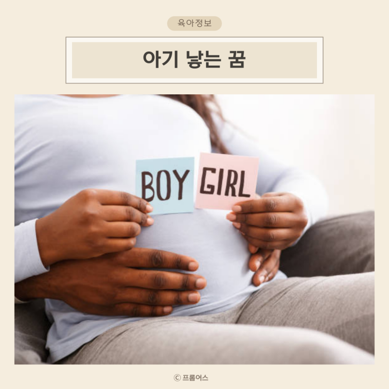아기 낳는 꿈 해몽 | 아들꿈 딸꿈 태몽 꾸는 시기