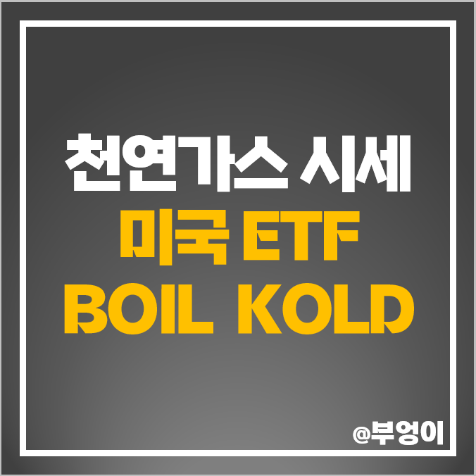 천연가스 선물 시세 미국 레버리지 ETF BOIL 주가 인버스 KOLD 천연가스 선물 시세 미국 레버리지 ETF BOIL 주가 인버스 KOLD