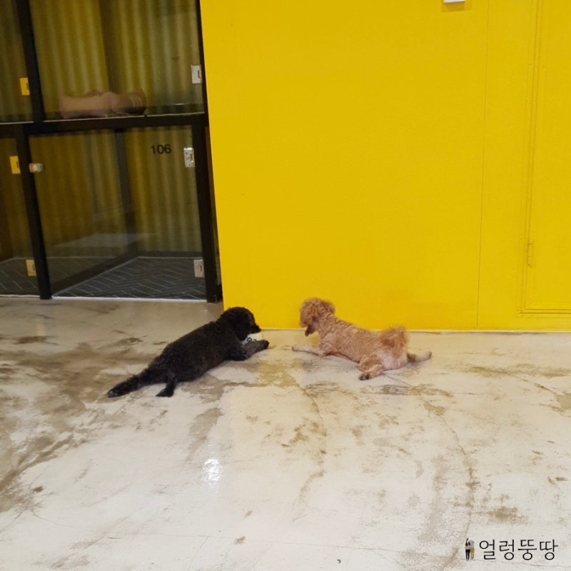 사진 7