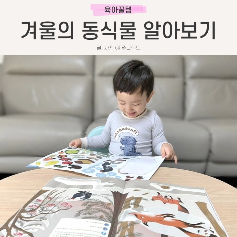 블로그 후기 사진