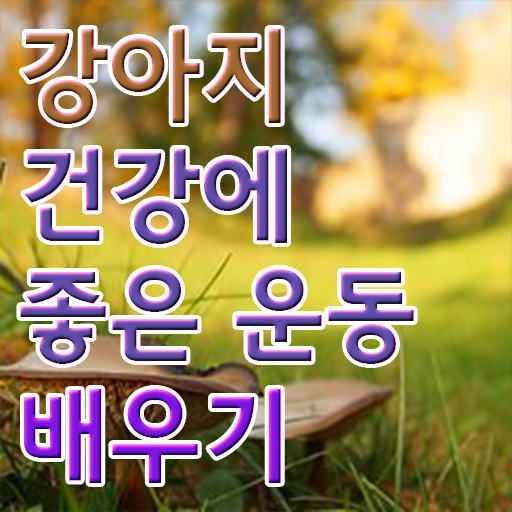  반려견운동지도사 1급 자격증 진로 알려드릴게요 !!!