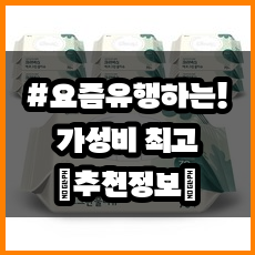 에코그린 사진 2