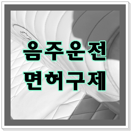  음주운전 주부라도 면허의 필요성을 녹여낸다면