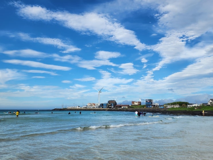  제주도 가자!