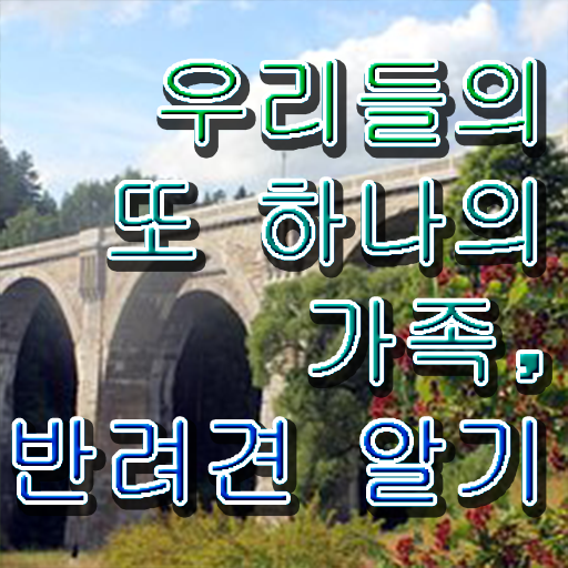  반려동물관리사 시험 빠른 취득 이건 꼭 봐야해요 ?!