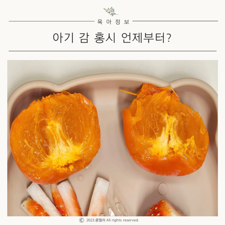  아기 홍시 감 언제부터? 궁합 나쁜 음식, 주의사항