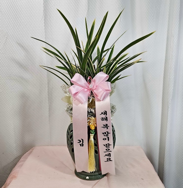  신년 축하 인사차 보내드린 황룡금과 금전수