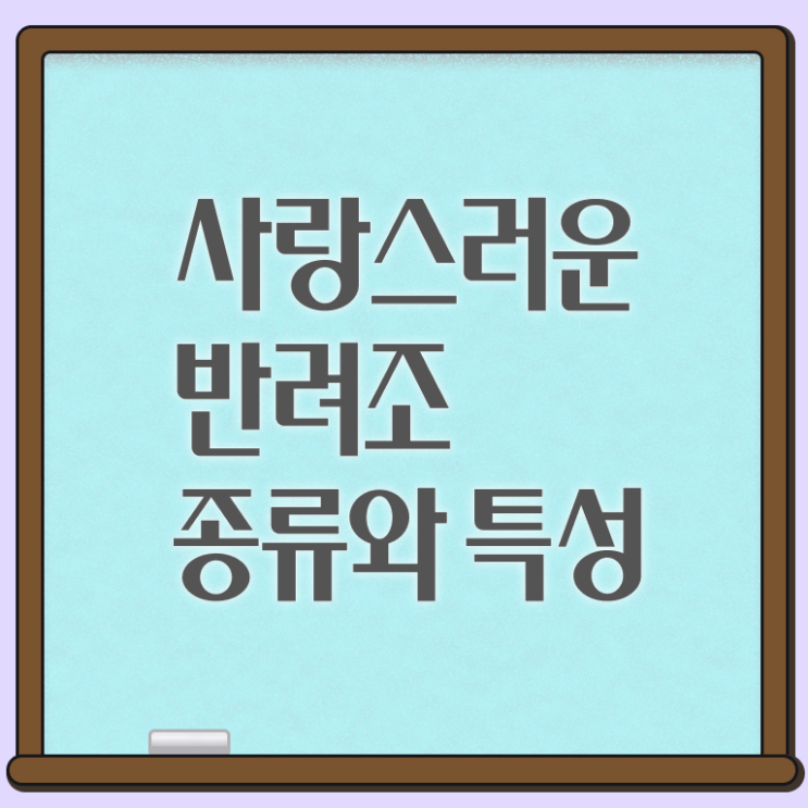  반려조관리사 1급 자격증 취득방법 알아볼까요 !!! 한국자격검정원