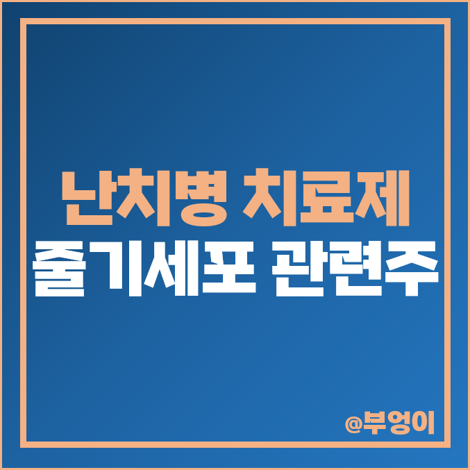 줄기세포 관련주 제일약품 주식 에스씨엠생명과학 주가 메디포스트 줄기세포 관련주 제일약품 주식 에스씨엠생명과학 주가 메디포스트