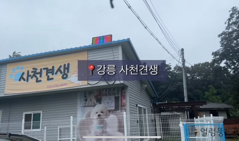 사진 8