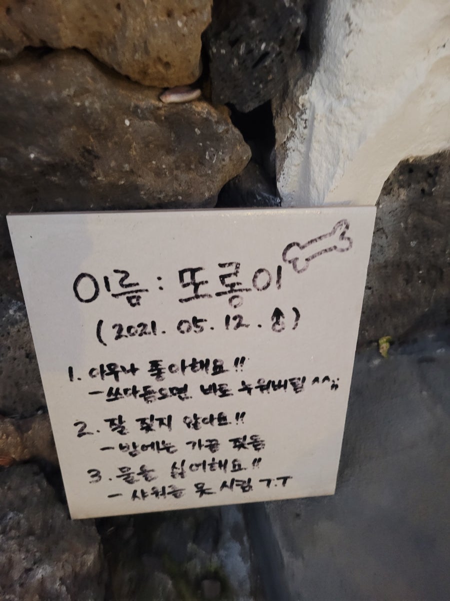 빈도롱이가 사진 4