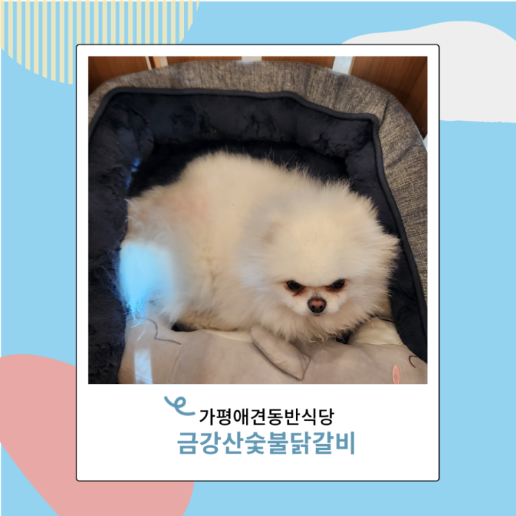 가평 애견동반식당 금강산숯불닭갈비막국수 강아지 놀이터도 있네 가평 애견동반식당 금강산숯불닭갈비막국수 강아지 놀이터도 있네