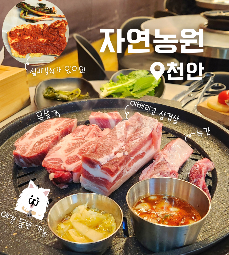  천안 봉명동 애견 동반 식당 이베리코 고기 맛집 자연농원 모듬 후기