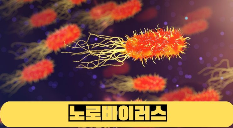  노로바이러스 원인과 증상 예방법은?