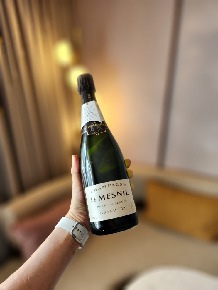  [프랑스] Le Mesnil Blanc de Blancs Grand Cru Brut NV - 우와, 좋네.