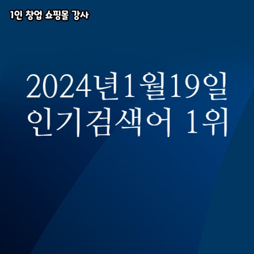 2024년 1월 19일 네이버쇼핑 분야별 인기 검색어 1위