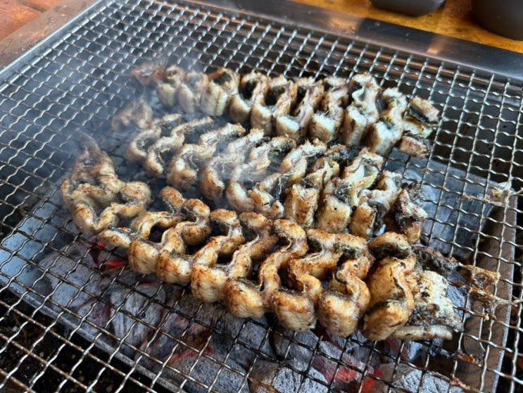  파주 나들이 | 약청사, 네이처스파, 심학산장어 vs. 갈릴리농원