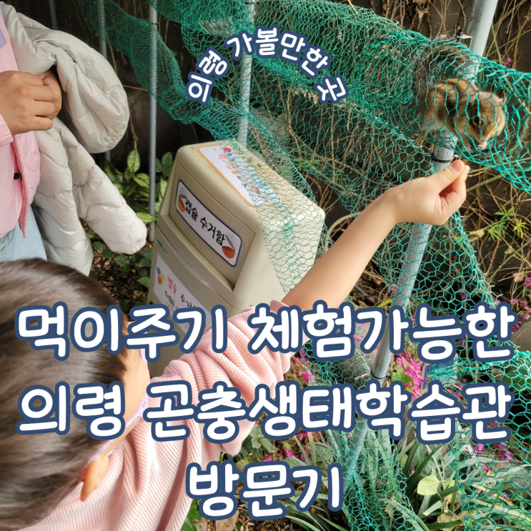 경남 의령 실내 아이와 가볼 만한 곳 ㅣ 동물 먹이 주기 체험이 가능한 의령 곤충생태학습관 방문기