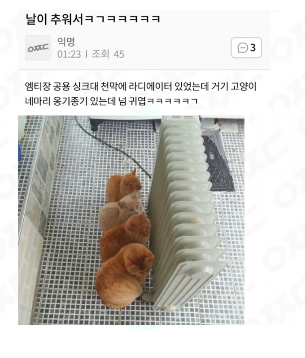  날이 추워서
