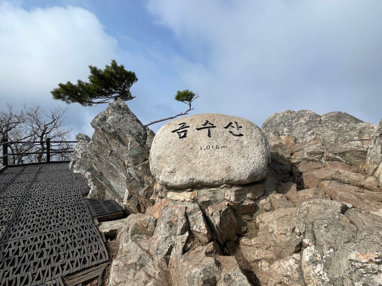  [BAC100] 금수산(#024), 최단코스(남근석공원, 망덕봉삼거리, 정상)