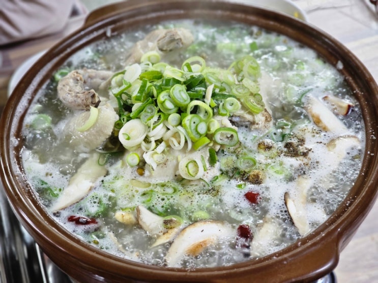  점심메뉴추천 목포역 맛집 중앙휴게실에서 도가니백숙과 동동주 낮술