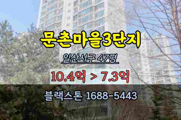  문촌마을3단지 경매 49평 일산서구아파트 오마학군