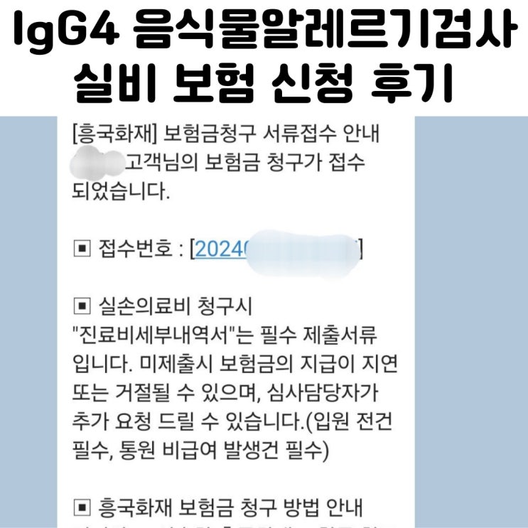  IgG4 음식물 알러지 검사 실비 서류 청구 후기