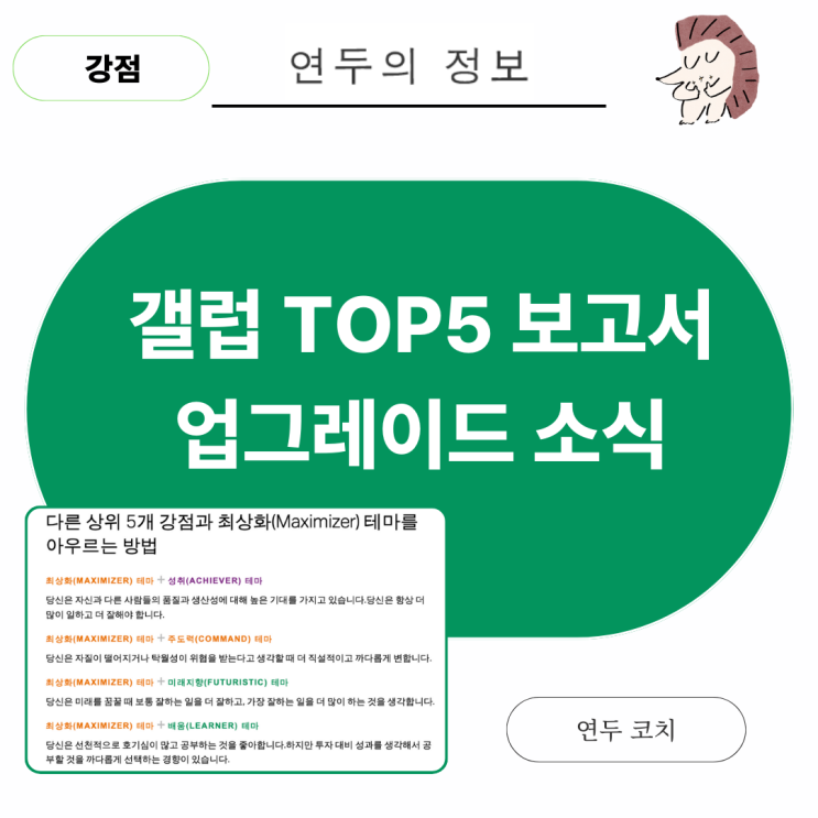 <b>갤럽</b> 강점 보고서(새로 업그레이드됨) 다운로드하는 방법
