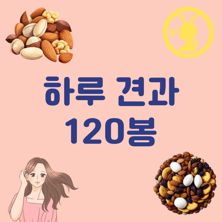  견과류 믹스 넛트 하루 1봉지로 쉽게 챙기는 견과 너트 120개 1박스