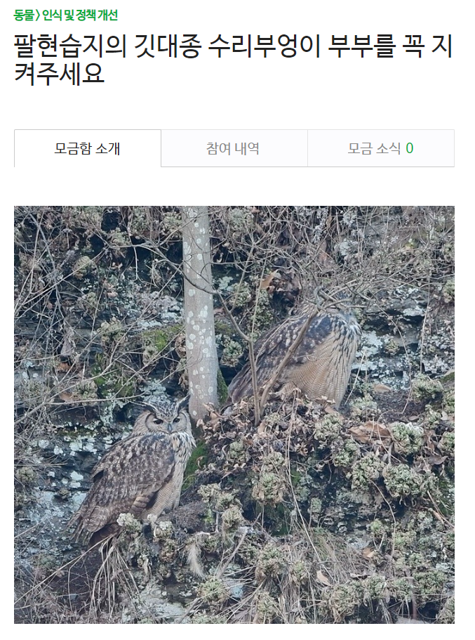  2024년도 해피빈 첫 기부했습니다.