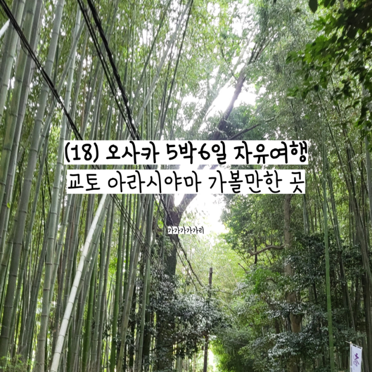 오사카 교토 아라시야마 대나무숲 치쿠린, 도게츠교 뱃놀이(노젓기) 가격, 기찻길 당일여행코스