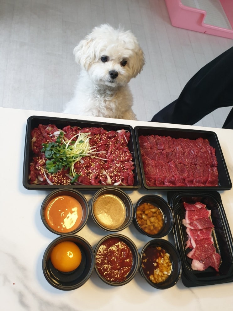  울산 남구 육회 육사시미맛집 바로여기 육회덕후 달동점